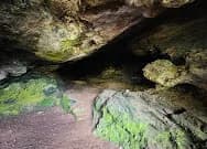 Jungle Trekking — Belilena, The Forest & The Filming gallery 1