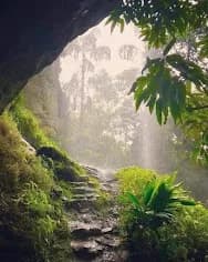 Jungle Trekking — Belilena, The Forest & The Filming gallery 5