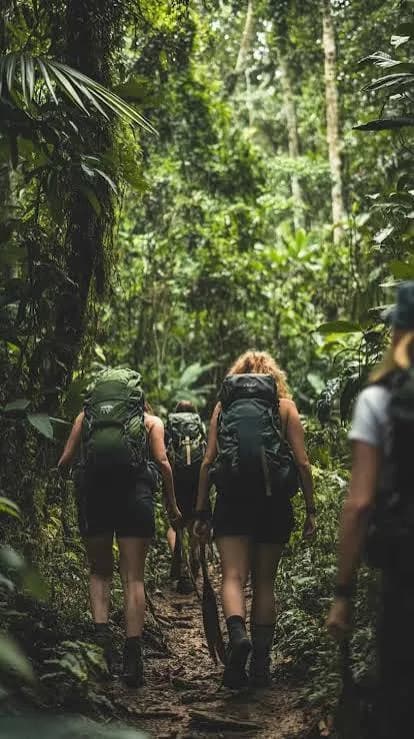 Jungle Trekking — Belilena, The Forest & The Filming gallery 9